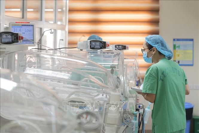Hệ thống chăm sóc trẻ sinh non bao gồm máy móc và bác sĩ cùng các điều dưỡng theo dõi 24/24h; tại khu hồi sức, mỗi điều dưỡng sẽ phụ trách chăm sóc khoảng 20-25 bé; tại khu hồi sức tích cực, một cô chăm 9-10 trẻ. Ảnh: Minh Quyết - TTXVN