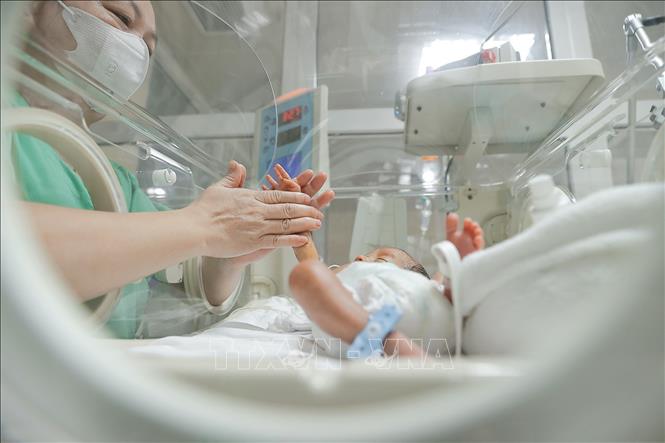 Trung tâm sơ sinh (Bệnh viện Phụ sản Trung ương) là nơi chuyên nghiệp và hiện đại, cung cấp dịch vụ chăm sóc sức khỏe và điều trị các vấn đề liên quan đến trẻ sơ sinh, từ chăm sóc sau sinh đến điều trị các bệnh lý đặc biệt. Ảnh: Minh Quyết - TTXVN