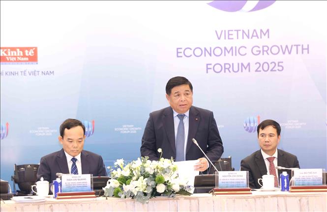 Deputy Prime Minister Nguyen Chi Dung speaks at the forum. VNA Photo: Phương Hoa 