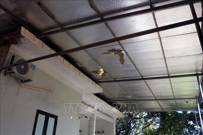 Hộ gia đình bà Lê Thị Ly bị đát đá làm sập tường rào phía sau nhà, mái ngói, mái tôn bị đá rơi vỡ làm thủng nhiều chỗ. Ảnh: Đại Nghĩa - TTXVN