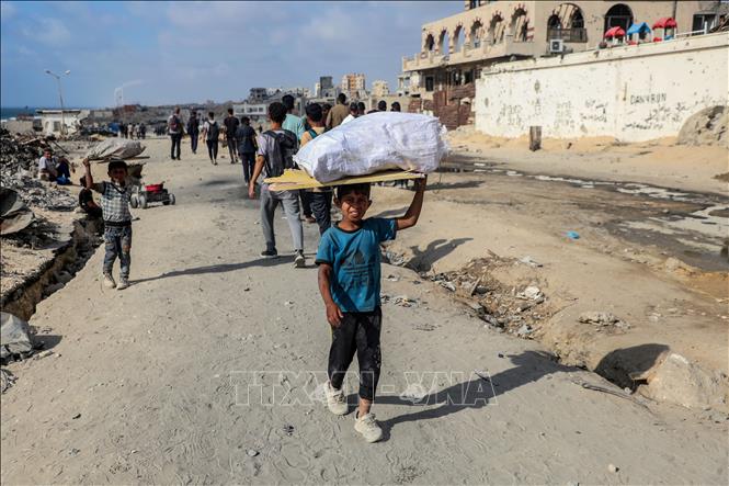 Trẻ em Palestine nhặt củi để sử dụng trong khi nhiên liệu để nấu ăn bị thiếu hụt tại thành phố Gaza. Ảnh: THX/TTXVN