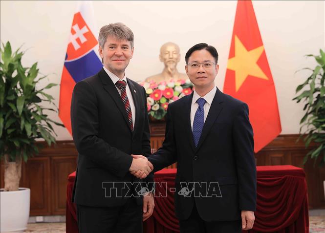 Thứ trưởng Bộ Ngoại giao Ngô Lê Văn đón Quốc vụ khanh Bộ Ngoại giao Slovakia Marek Estok. Ảnh: An Đăng - TTXVN