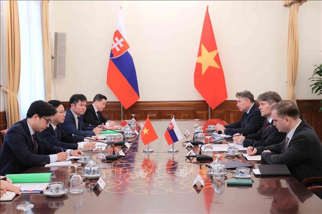 Thứ trưởng Bộ Ngoại giao Ngô Lê Văn và Quốc vụ khanh Bộ Ngoại giao Slovakia Marek Estok đồng chủ trì Tham vấn Chính trị cấp Thứ trưởng Ngoại giao Việt Nam - Slovakia. Ảnh: An Đăng - TTXVN