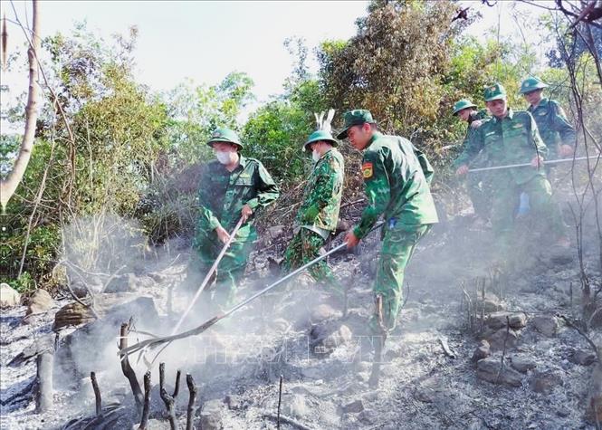 Lực lượng bộ đội biên phòng Đồn Biên phòng Quỳnh Thuận (Bộ đội Biên phòng Nghệ An) tham gia dập lửa. Ảnh: TTXVN phát 
