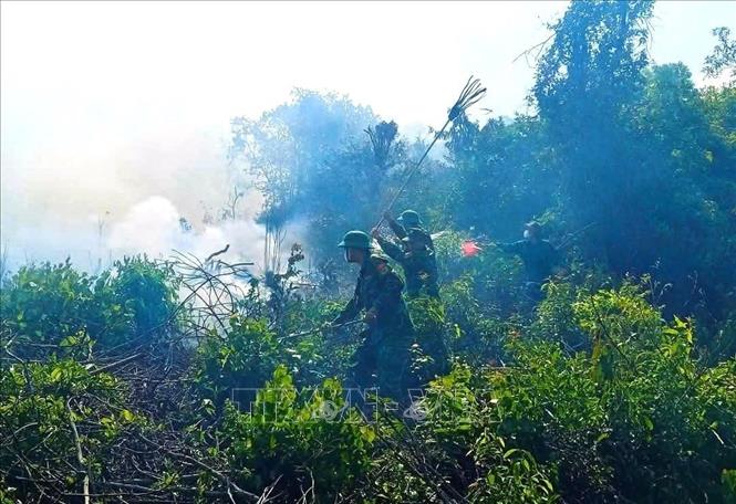 Các lực lượng tham gia dập lửa, khống chế vụ cháy rừng không để lan rộng. Ảnh: TTXVN phát