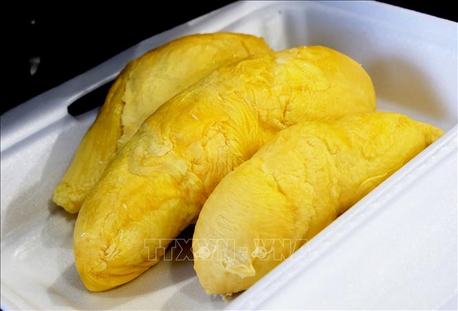 Sầu riêng Ri 6 cơm vàng hạt lép. Ảnh: Hồng Đạt - TTXVN
