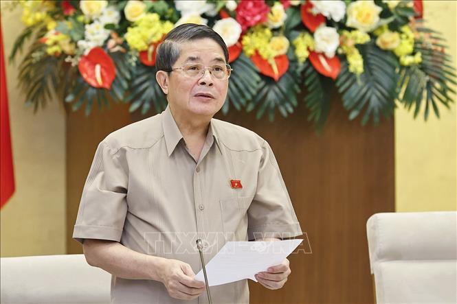 Phó Chủ tịch Quốc hội Nguyễn Đức Hải phát biểu. Ảnh: Doãn Tấn - TTXVN