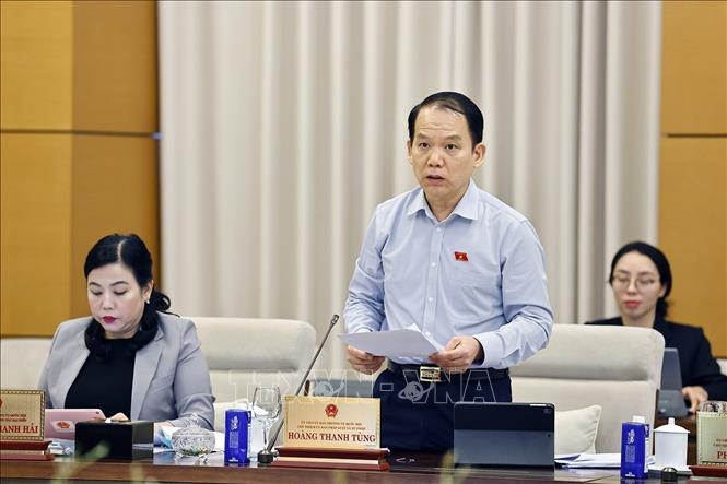 Chủ nhiệm Ủy ban Pháp luật và Tư pháp của Quốc hội Hoàng Thanh Tùng phát biểu. Ảnh: Doãn Tấn - TTXVN