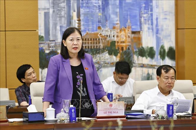 Phó Chủ nhiệm Thường trực Ủy ban Dân nguyện và Giám sát của Quốc hội Lê Thị Nga phát biểu. Ảnh: Doãn Tấn - TTXVN