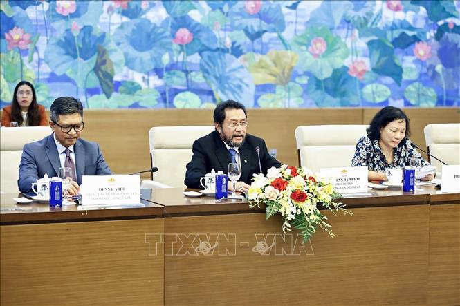 Phó Chủ tịch Thượng viện Indonesia Yorrus Raweyai phát biểu. Ảnh: Doãn Tấn - TTXVN