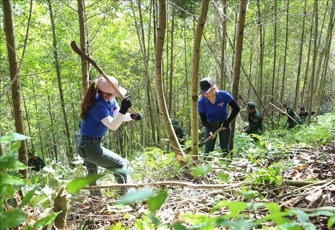 Thanh niên tình nguyện hỗ trợ giải phóng mặt bằng để thi công dự án. Ảnh: TTXVN phát