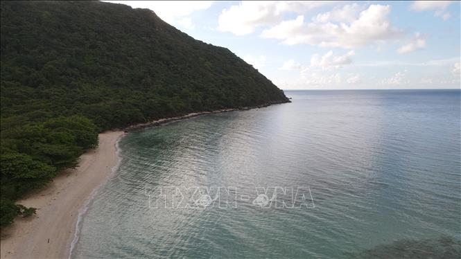Bai Cat Lon - Hon Bay Canh in Con Dao National Park serves as the nesting grounds for hundreds of mother turtles each year. VNA Photo: Huỳnh Sơn