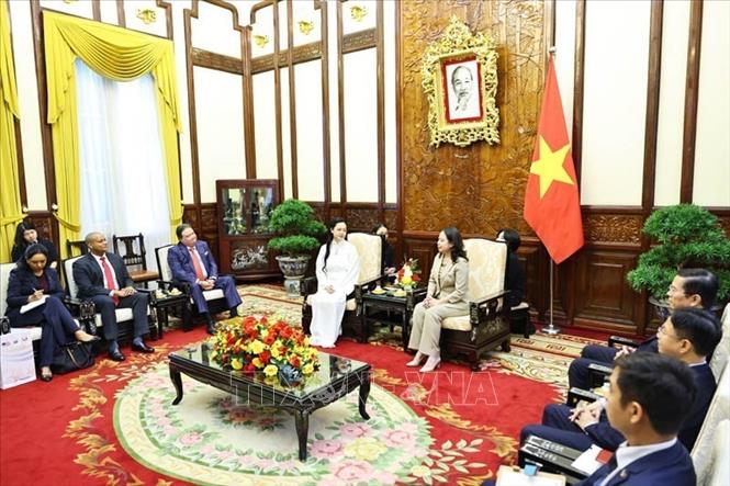 Phó Chủ tịch nước Võ Thị Ánh Xuân tiếp bà Amanda Nguyễn. Ảnh: Minh Đức – TTXVN