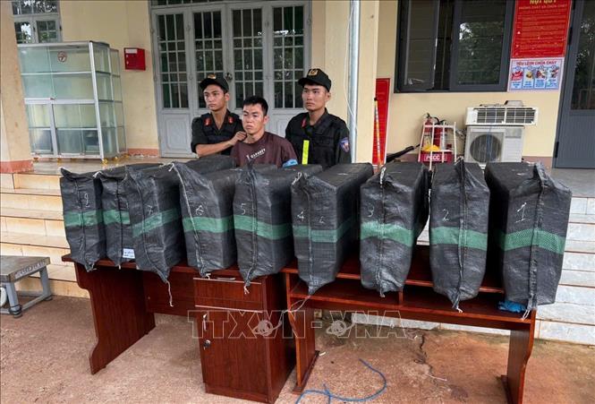 Tang vật vụ án. Ảnh: Đậu Tất Thành - TTXVN
