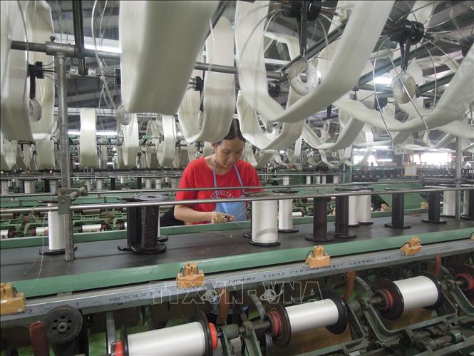Công ty TNHH Xe tơ – Dệt lụa Hà Bảo (Phường B’Lao, tỉnh Lâm Đồng) vẫn giữ vững nghề dệt lụa dù phải gặp rất nhiều khó khăn. Ảnh: Kha Phạm - TTXVN