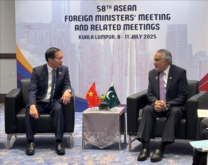 Deputy Prime Minister and Minister of Foreign Affairs Bui Thanh Son meets with Pakistan counterpart Mohammad Ishaq Dar. VNA Photo