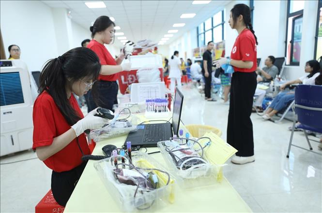 Những đơn vị máu được hiến tình nguyện tại ngày hội. Ảnh: Anh Tuấn – TTXVN