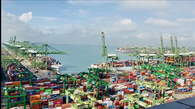 Cảng Pasir Panjang của Singapore hiện có kết nối với gần 180 cảng lớn nhỏ tại 45 nước trên thế giới. Ảnh: Đỗ Vân - PV TTXVN tại Singapore