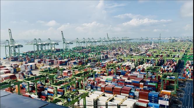 Cảng Pasir Panjang của Singapore là một trong những cảng container bận rộn nhất thế giới. Ảnh: Đỗ Vân - PV TTXVN tại Singapore 