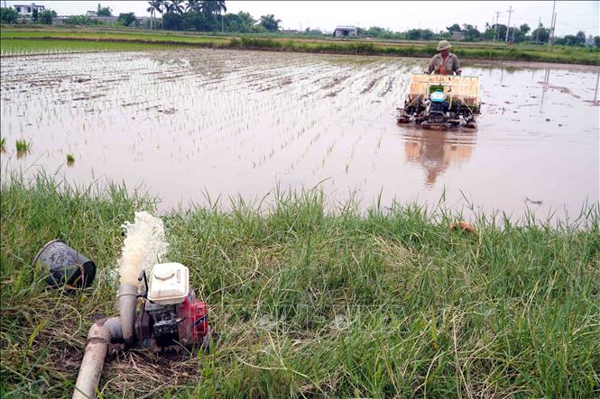 Nông dân xã Bắc Đông Quan, tỉnh Hưng Yên áp dụng cơ giới hóa khâu cấy lúa. Ảnh: Nguyễn Công Hải - TTXVN