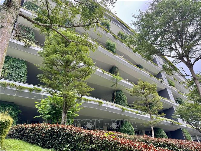 Tòa nhà xanh này không chỉ mang lại lợi nhuận tài chính mà còn giúp cải thiện sức khỏe và tinh thần cho người cư trú. Ảnh: Đỗ Vân - PV TTXVN tại Singapore