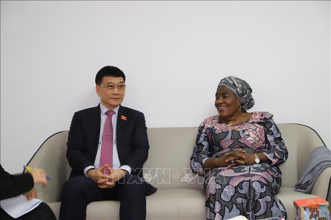 Phó Chủ tịch Quốc hội Vũ Hồng Thanh hội kiến Phó Chủ tịch Thượng viện Côte d'Ivoire Sarra Fadika Sako. Ảnh: Hồng Minh - PV TTXVN tại châu Phi