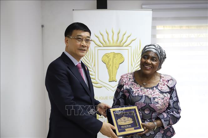 NA Vice Chairman Vu Hong Thanh presents a gift to Vice President of the Senate Sarra Fadika Sako. VNA Photo: Hồng Minh