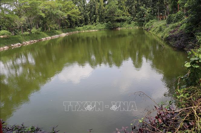 Hồ nước thải sau khi xử lý xong được đưa vào tái sử dụng cho các hoạt động chế biến và vệ sinh dụng cụ của nhà máy chế biến cao su Bà Rịa. Ảnh: Hồng Nhung - TTXVN