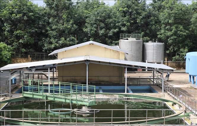Hồ nước sau khi được xử lý bằng các chế phẩm sinh học của Nhà máy xử lý nước thải Tổng Công ty cao su Đồng Nai có thể sử dụng để nuôi cá Koi. Ảnh: Hồng Nhung - TTXVN
