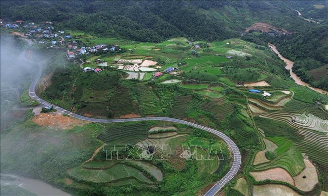 Cung đường đi qua những đồi chè tuyệt đẹp. Ảnh: Quốc Khánh - TTXVN