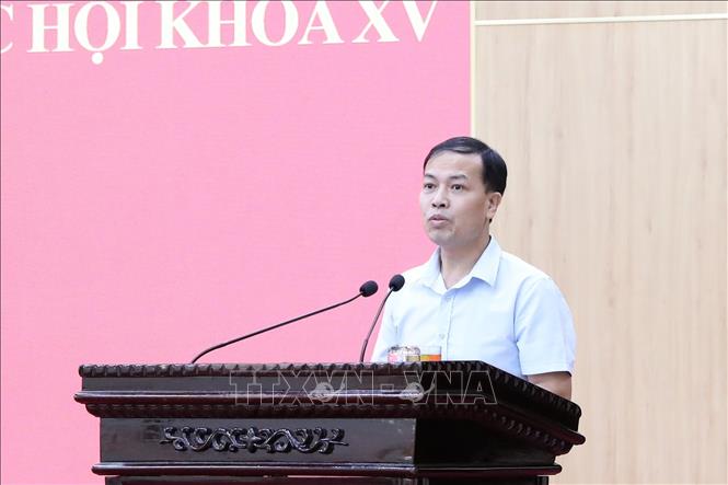 Cử tri Đặng Tất Đạt, phường Hoa Lư nêu một số ý kiến, kiến nghị tại buổi tiếp xúc. Ảnh: Đức Phương - TTXVN