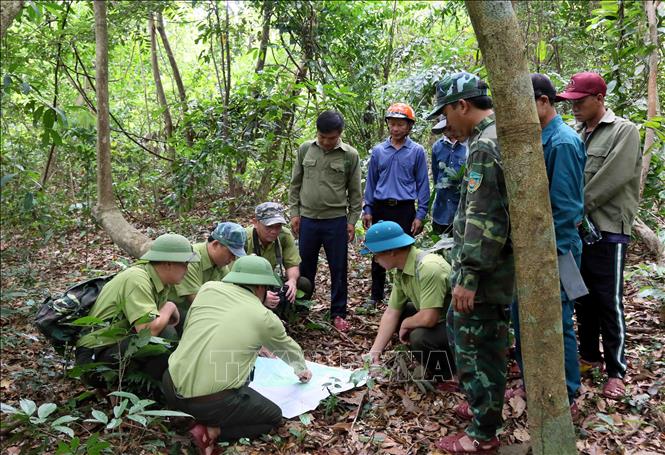 Các tổ tuần tra xác định phương hướng, đánh dấu các điểm đã đến sau khi đi tuần tra, kiểm soát tại Vườn quốc gia Phong Nha - Kẻ Bàng. Ảnh: Tá Chuyên -  TTXVN