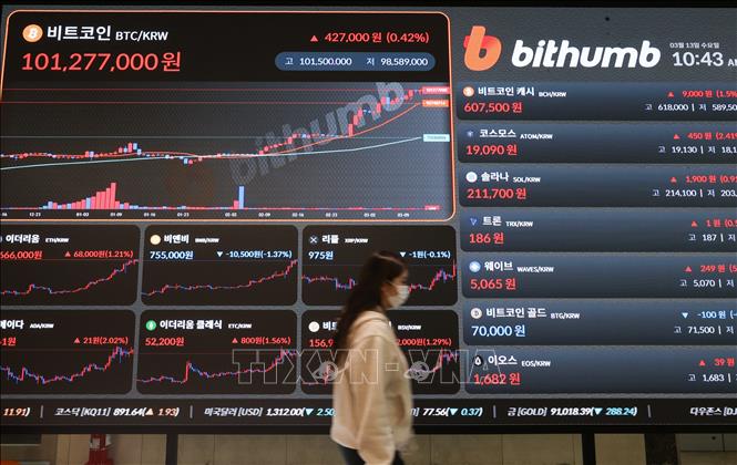 Đồng Bitcoin tăng giá lên 101,27 won (77,181 USD) trong phiên giao dịch tiền số tại Seoul, Hàn Quốc ngày 13/3/2024. Ảnh: YONHAP/TTXVN