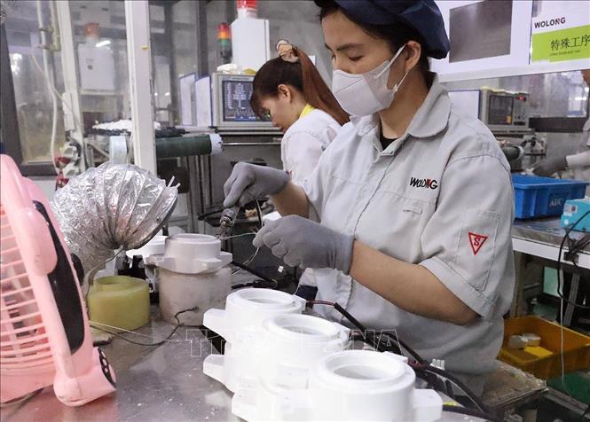 Sản xuất mô tơ điện ở nhà máy của Công ty TNHH điện khí Wolong Việt Nam, khu công nghiệp An Dương, thành phố Hải Phòng. Ảnh: Vũ Sinh – TTXVN
