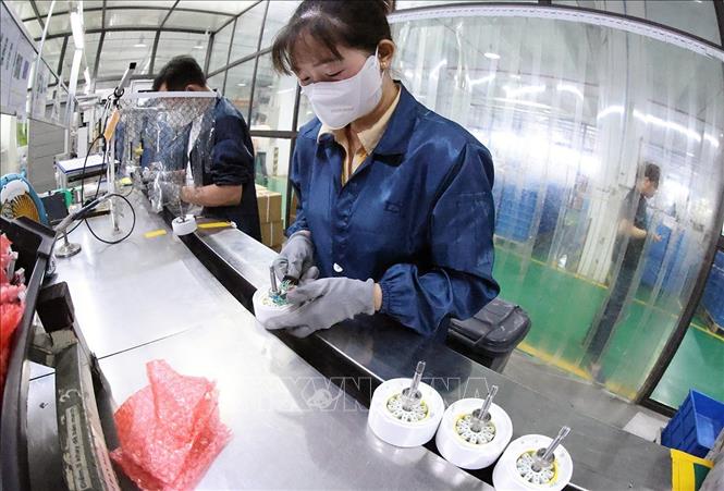 Sản xuất mô tơ điện ở nhà máy của Công ty TNHH điện khí Wolong Việt Nam, khu công nghiệp An Dương, thành phố Hải Phòng. Ảnh: Vũ Sinh – TTXVN
