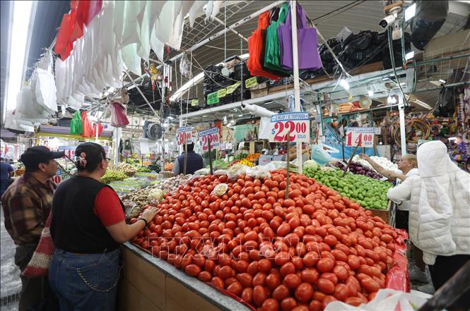 Người tiêu dùng mua cà chua trong siêu thị ở Mexico City, Mexico ngày 14/7/2025. Ảnh: THX/TTXVN