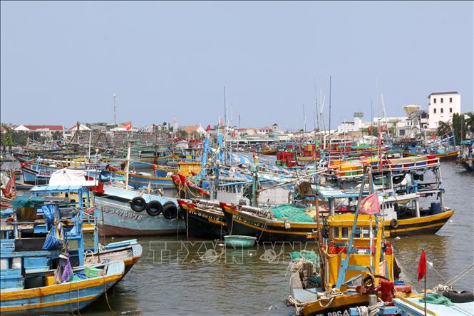 Tàu thuyền neo đậu dọc sông Cà Ty chờ nạp nhiên liệu, chuẩn bị sẵn sàng cho chuyến biển mới. Ảnh: Hồng Hiếu - TTXVN