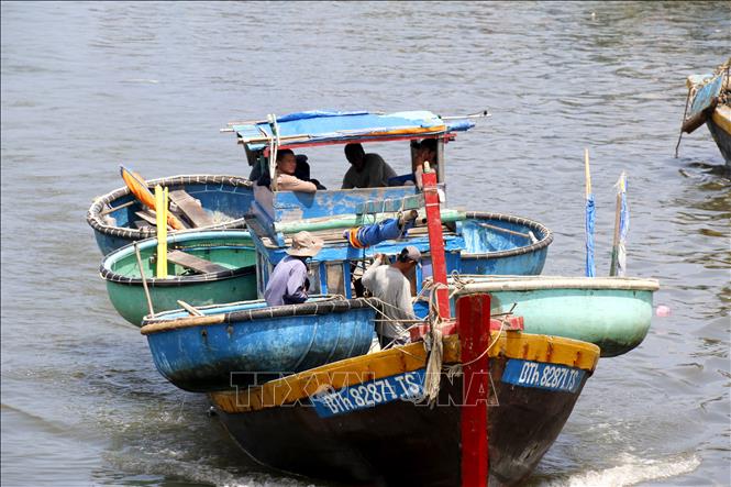 Ngư dân phường Phan Thiết xuất cảng với kỳ vọng một mùa cá bội thu. Ảnh: Hồng Hiếu - TTXVN