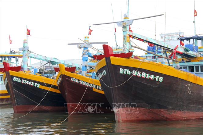 Nhiều tàu cá được sửa sang, trang bị đầy đủ để bước vào vụ cá chính của năm. Ảnh: Hồng Hiếu - TTXVN