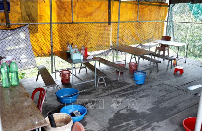 Một trong ba quán bán lòng lợn, tiết canh tại thôn Đồng Kỷ, xã Quỳnh An (Hưng Yên). Ảnh: Thế Duyệt – TTXVN
