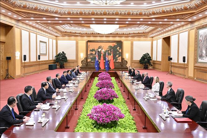 Thủ tướng Australia Anthony Albanese và Chủ tịch Trung Quốc Tập Cận Bình tại cuộc gặp ở Bắc Kinh ngày 15/7/2025. Ảnh: THX/TTXVN