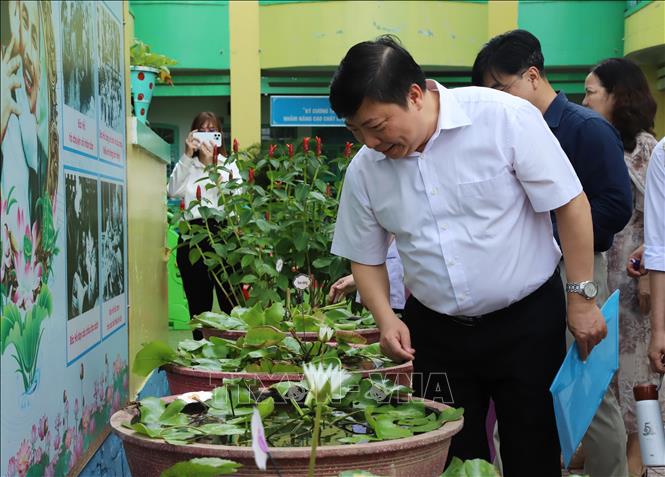 Lãnh đạo Viện Pasteur Thành phố Hồ Chí Minh kiểm tra, giám sát các vật chứa có thể phát sinh lăng quăng/bọ gậy nguy cơ phát sinh sốt xuất huyết. Ảnh: Đinh Hằng - TTXVN