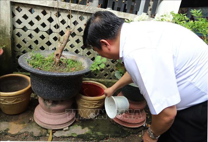 Kiểm tra, giám sát các vật chứa có thể phát sinh lăng quăng/bọ gậy nguy cơ phát sinh sốt xuất huyết. Ảnh: Đinh Hằng - TTXVN