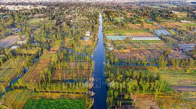 Vùng ngập nước Xochimilco - khu vực sinh thái độc đáo nằm ở phía nam thủ đô Mexico City. Ảnh: TTXVN phát