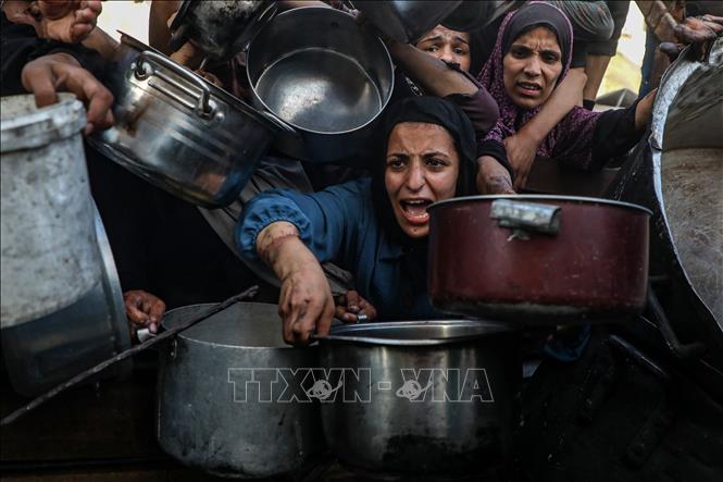 Người dân Palestine chờ được phát thực phẩm cứu trợ tại Gaza. Ảnh: THX/TTXVN