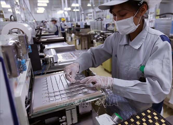 Sản xuất bảng mạch in dùng cho các thiết bị điện tử tại nhà máy của Công ty TNHH Mektec Manufacturing Việt Nam (100% vốn Nhật Bản) tại khu công nghiệp Thăng Long II, phường Mỹ Hào, tỉnh Hưng Yên. Ảnh: Vũ Sinh - TTXVN