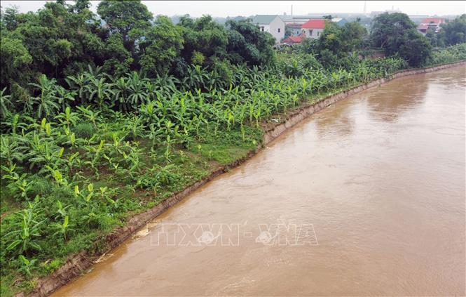 UBND xã Lâm Thao kiến nghị các cấp có thẩm quyền sớm có phương án xử lý, gia cố kè tại khu sạt lở nhằm ổn định đời sống và sản xuất của nhân dân. Ảnh: Tạ Toàn – TTXVN