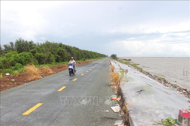 Đoạn đê biển Tây của tỉnh Cà Mau. Ảnh: Chanh Đa - TTXVN