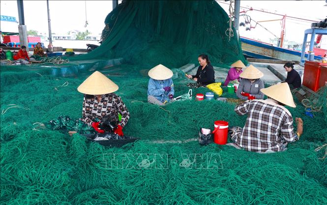 Các dịch vụ hậu cần liên quan đến nghề cá tại cửa biển Sông Đốc cũng vì thế rất phát triển. Ảnh: Huỳnh Anh - TTXVN