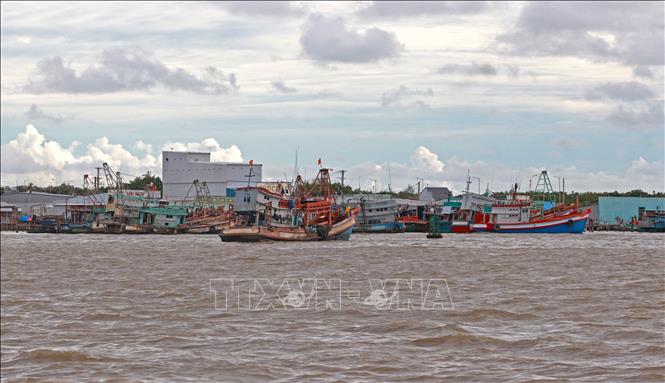 Sông Ðốc hiện có đội tàu hùng hậu với gần 2.000 phương tiện đánh bắt hải sản các loại, trong đó có hơn 1.000 tàu khai thác xa bờ, hàng trăm phương tiện thu mua hải sản và hoạt động dịch vụ hậu cần trên biển. Ảnh: Huỳnh Anh - TTXVN